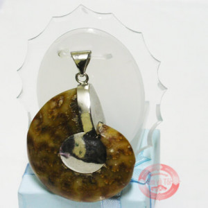 Ốc anh vũ hóa thạch