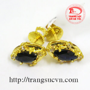 Hoa tai Saphire thiên nhiên