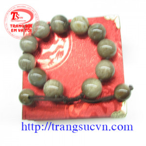 Chuỗi Gỗi hóa thạch