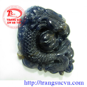 Cá chép hóa Rồng Saphir