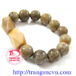 Vòng Gỗ hóa thạch