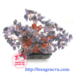 Cây đá thạch anh tím