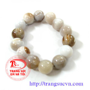 Lắc gỗ hóa thạch