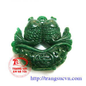 Mặt cá chép ngọc,Giá Mat ca chép ngoc