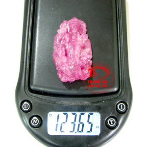 Rồng quan thế âm