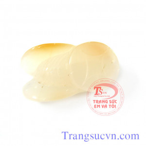 Ve sầu mã não đẹp