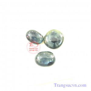 Sapphrie hoa cúc thiên nhiên