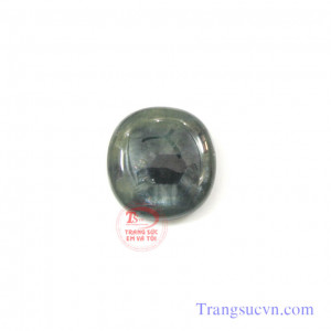 Sapphrie hoa cúc thiên nhiên