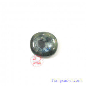 Sapphrie hoa cúc thiên nhiên