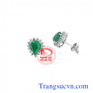 Nụ tai emerald vàng trắng