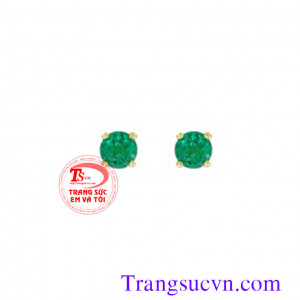 Nụ Emerald tròn vàng
