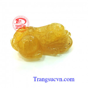 Tỳ hưu thạc anh tóc