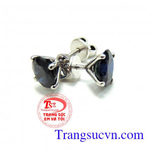 Hoa tai Sapphire đẹp