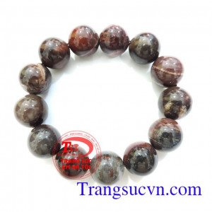 Chuỗi tay gỗ hóa thạch