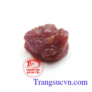 Cóc ruby thiên nhiên