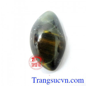 Mặt mắt hổ độc đáo
