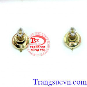 Hoa tai quà tặng yêu thương