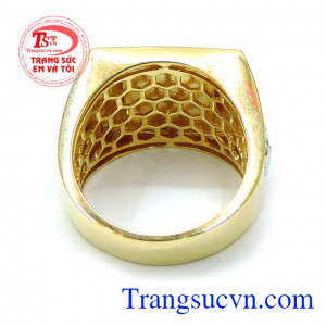 Trong nước và ngoài nước , bảo hành chu đáo.