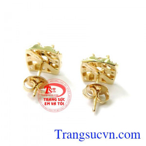 Trái bông tình yêu