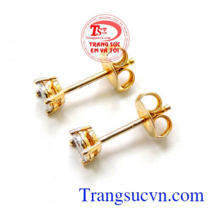 Hoa tai nữ nụ bảo hành 6 tháng 