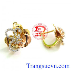 Bông Tai Xinh Cho Nàng