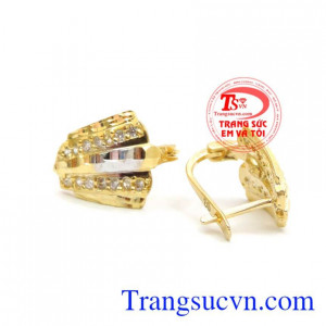 Bông tai Trương Hồ Phương Nga.