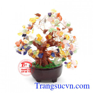 Cây Tài Lộc Thạch Anh Ngũ Sắc