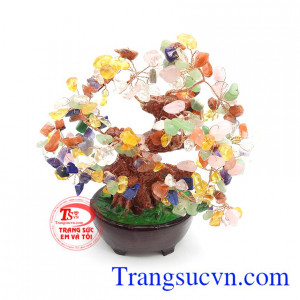 Cây Tài Lộc Thạch Anh Ngũ Sắc