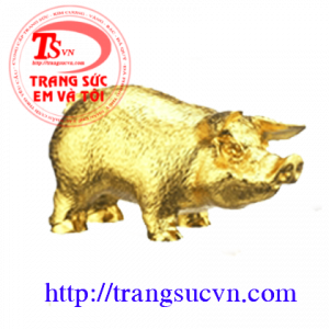 Tuổi Hợi Vàng 99.9