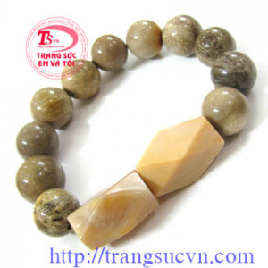 Vòng Gỗ hóa thạch