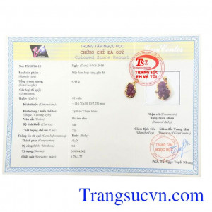 Giấy kiểm định Mặt Dây Tỳ Hưu Ruby May Mắn