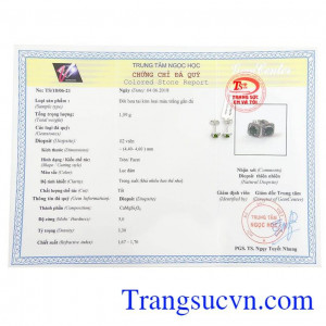 Giấy kiểm định Hoa Tai Diopsite May Mắn