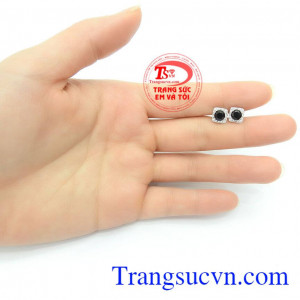 Hoa tai đá quý sang trọng