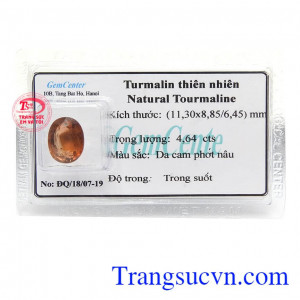 Tourmaline mang ý nghĩa về sự quyền lực, giàu sang, được giới doanh nhân đặc biệt ưa chuộng