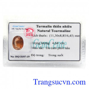 Viên Tourmaline Ép Vỉ Cao Cấp có tác dụng mang lại óc sáng tạo và trí thông minh, giúp tăng cường sự sáng suốt cho đầu óc và tăng cảm giác mạnh mẽ, can đảm