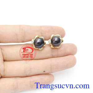 Phù hợp trong những sự kiện quan trọng