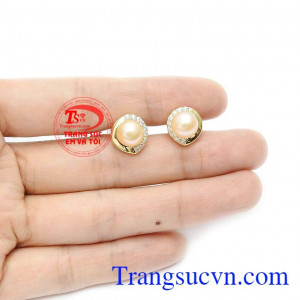 Sản phẩm bảo hành uy tín, giao hàng toàn quốc