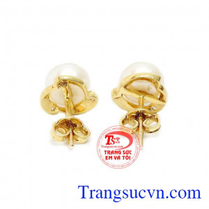 Sản phẩm được bảo hành uy tín, giao hàng toàn quốc