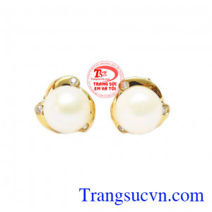 Hoa tai ngọc trai trắng dễ thương