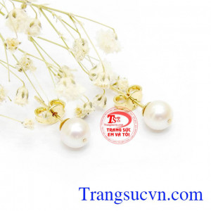 Phù hợp làm quà tặng cho người thân hoặc bạn bè