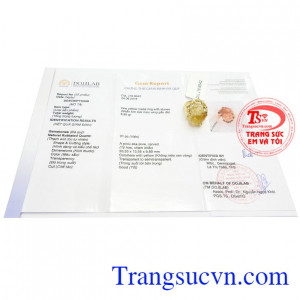 Giấy kiểm định Nhẫn Nữ Tỳ Hưu Bình An