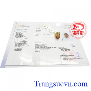 Giấy kiểm định Nhẫn Nữ Tỳ Hưu Đại Cát