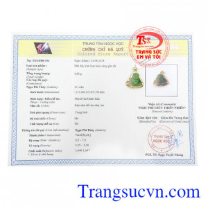 Giấy kiểm định