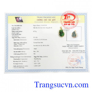 Giấy kiểm định