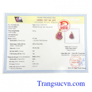 Giấy kiểm định