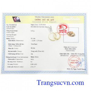 Giấy kiểm định
