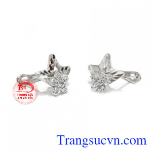 Hoa tai sao sáng vàng trắng được nhập khẩu từ Hàn Quốc.