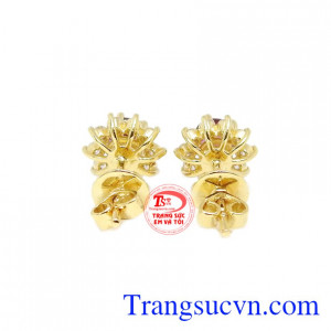 Đôi hoa tai bền đep, bảo hành uy tín, giao hàng toàn quốc.