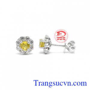 Sản phẩm thiết kế dạng nụ rất dễ sử dụng.