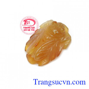 Ve sầu đem lại sự thông minh, túc trí, gia tăng sự quyết tâm, ý chí để giành thắng lợi cao trong học hành và thi cử